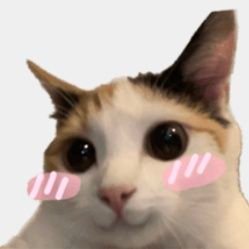 .'s profile picture