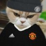 Dunphy UTD's profile picture
