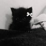 捨て垢 profil fotoğrafı