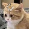 Profilbild von Wiltshire