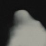 luca's profile picture