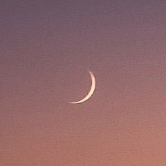 straykidsfilm's profile picture