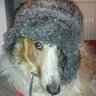 Profilbild von NinhO