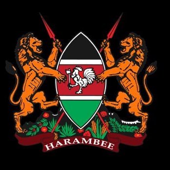 State Department for Foreign Affairs | Kenya's profile picture
