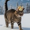 Profilbild von Arisen005