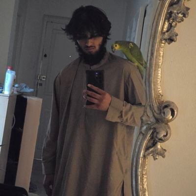 SpreadHaqq's profile picture