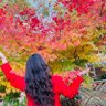 Daniela's profile picture