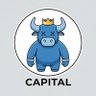 MLCapital profil fotoğrafı