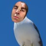 zara🍋(owner of seagull liam) profil fotoğrafı