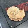 CCCDW 的头像