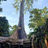 Фото профиля sarann