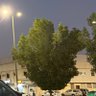 Profilbild von محمد العمري