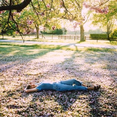 steff 🍷's profile picture