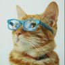 GeorgeW's profile picture