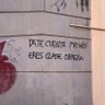 Zulema profil fotoğrafı