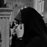 Maedeh's profile picture