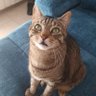 NUR profil fotoğrafı