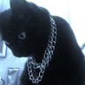 Scud profil fotoğrafı