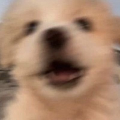 zigu!³'s profile picture