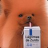 LagrimasDeZurdo 🍆's profile picture