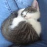 mimi profil fotoğrafı