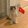Profilbild von Antisemitik