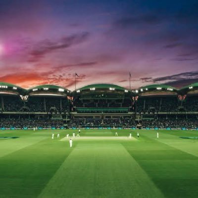 Cricket Update's profile picture