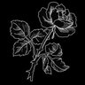 M's profile picture