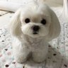 jia profil fotoğrafı