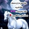 Profilbild von ashrafawad248
