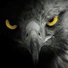 الــصقـر الأســـود profil fotoğrafı