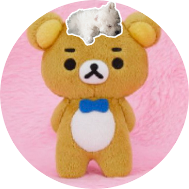 덤담's profile picture