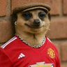 pH first son's profile picture