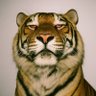 Ralph ~Mufassa profil fotoğrafı