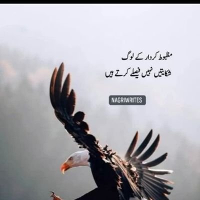 Zarnab @ᵀᵉᵃᵐˢ⁰ᴷ's profile picture