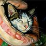 Profilbild von Simbathewhitelion