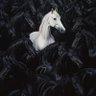 Фото профиля Naji_Al_Ali
