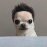 Simon 的头像