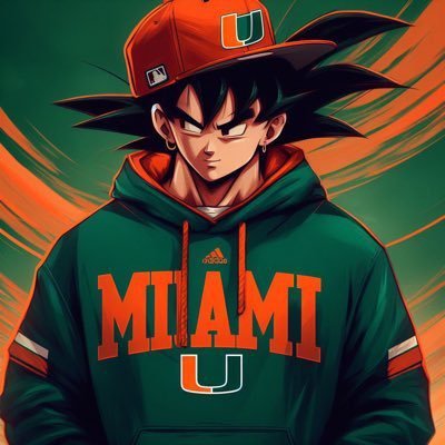 T2yHurricane's profile picture