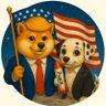DOGE in Hawaii 的头像