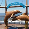 東京人's profile picture