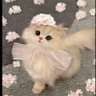Amany ✷'s profile picture