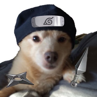 닌쿤's profile picture