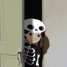 вилӗм🇨🇻's profile picture