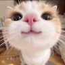 sax cax's profile picture