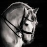 아흐마드 profil fotoğrafı