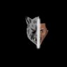 Фото профиля LONEWLF🐺⚔️