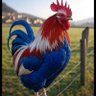 Jean Michel Baudry's profile picture