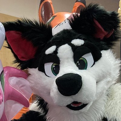 CollieToyInsp's profile picture