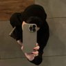 لُـبنى🤎.'s profile picture